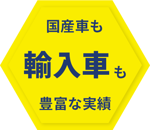 国産車も輸入車も豊富な実績